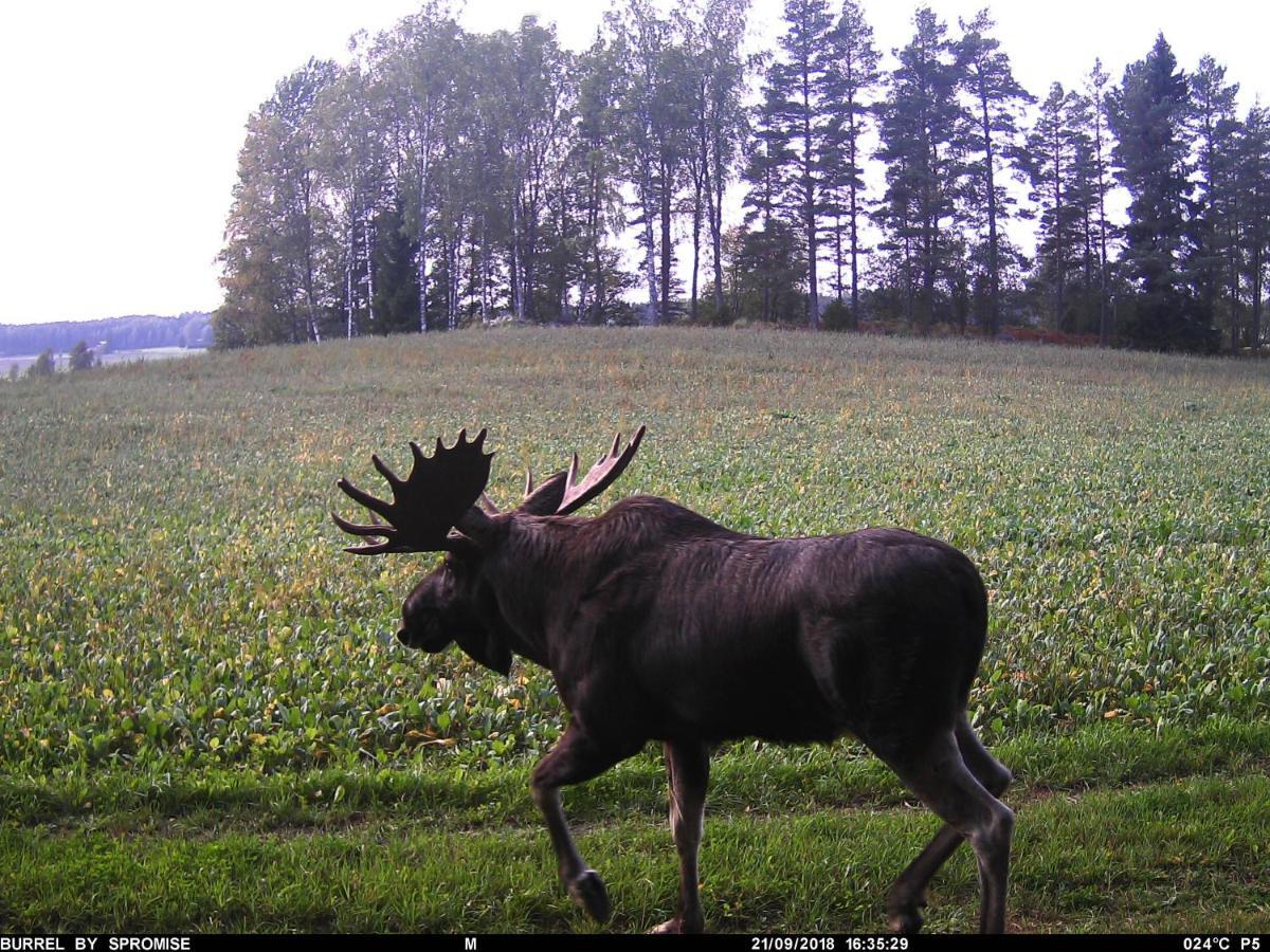 Villa Skogsbacka Raseborg Luaran gambar